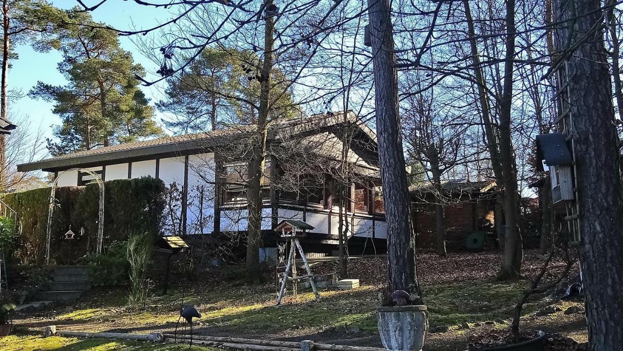 Ferienhaus Eifelpur Ahrdorf 外观 照片