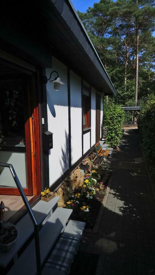 Ferienhaus Eifelpur Ahrdorf 外观 照片