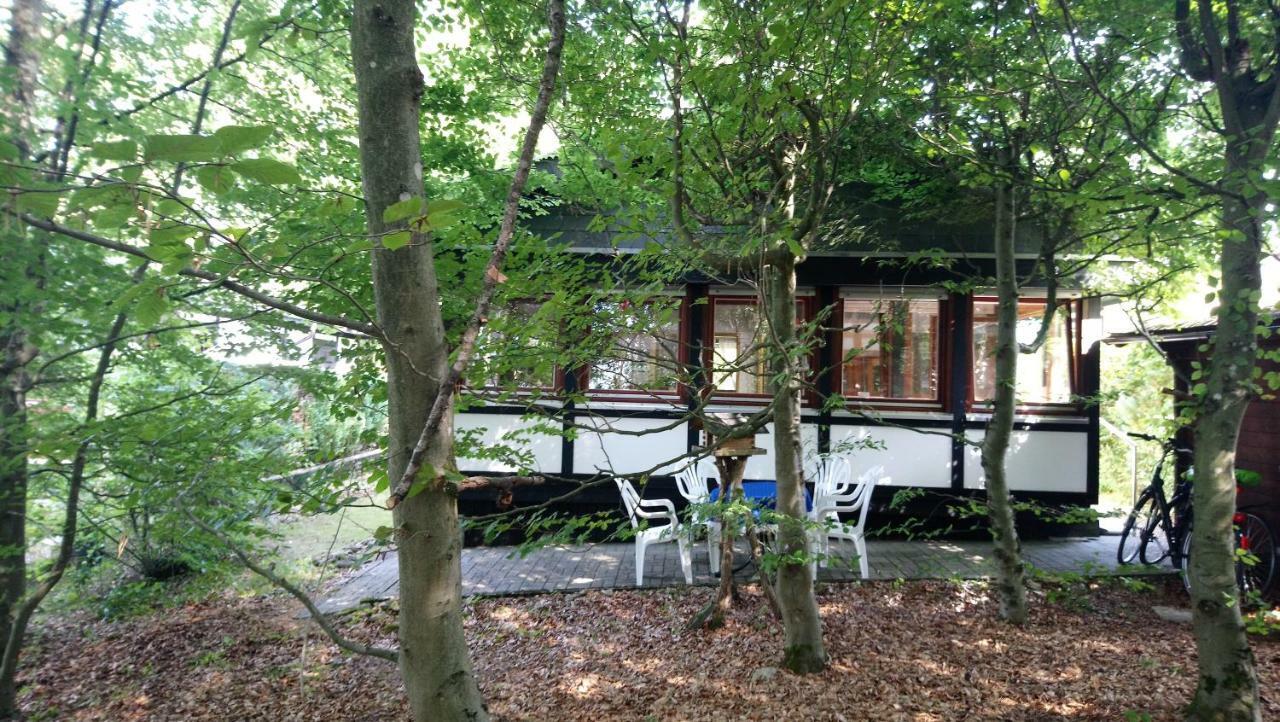 Ferienhaus Eifelpur Ahrdorf 外观 照片